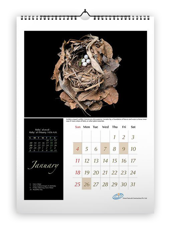 Calendari da parete  Stile6